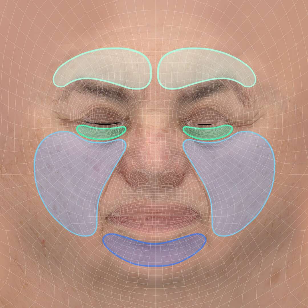 Face with regions of interest