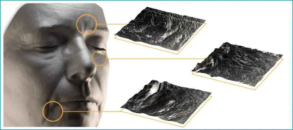 skin decomposed into several geometric properties