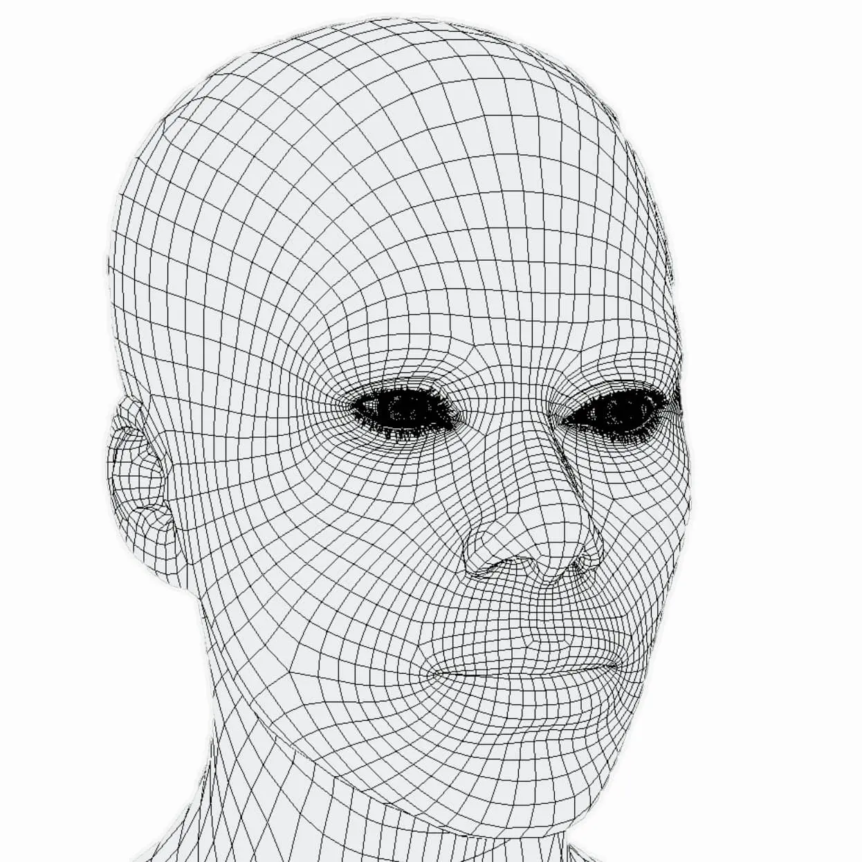 A 3D head model with wireframe