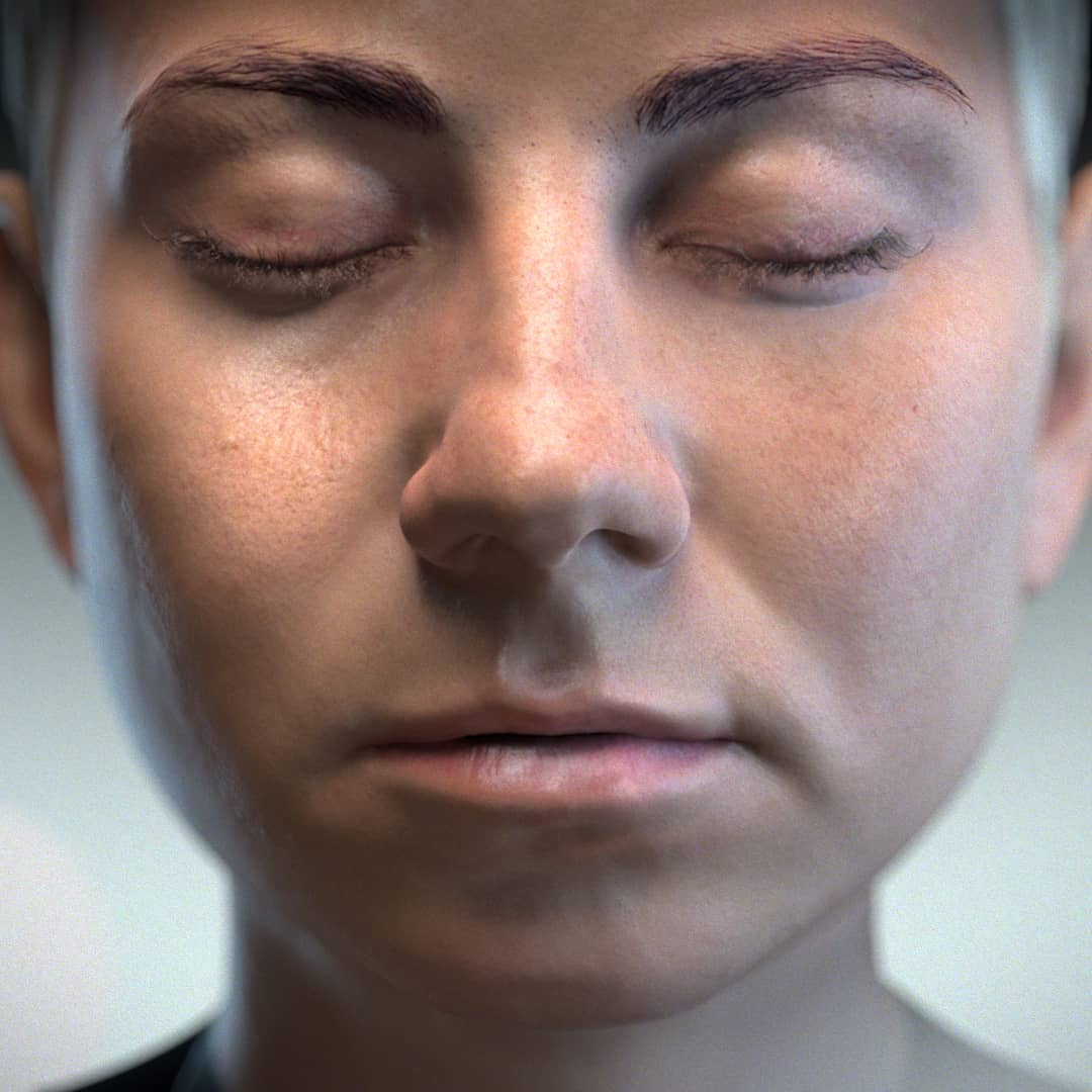 A 3D head model for cosmetic commercial