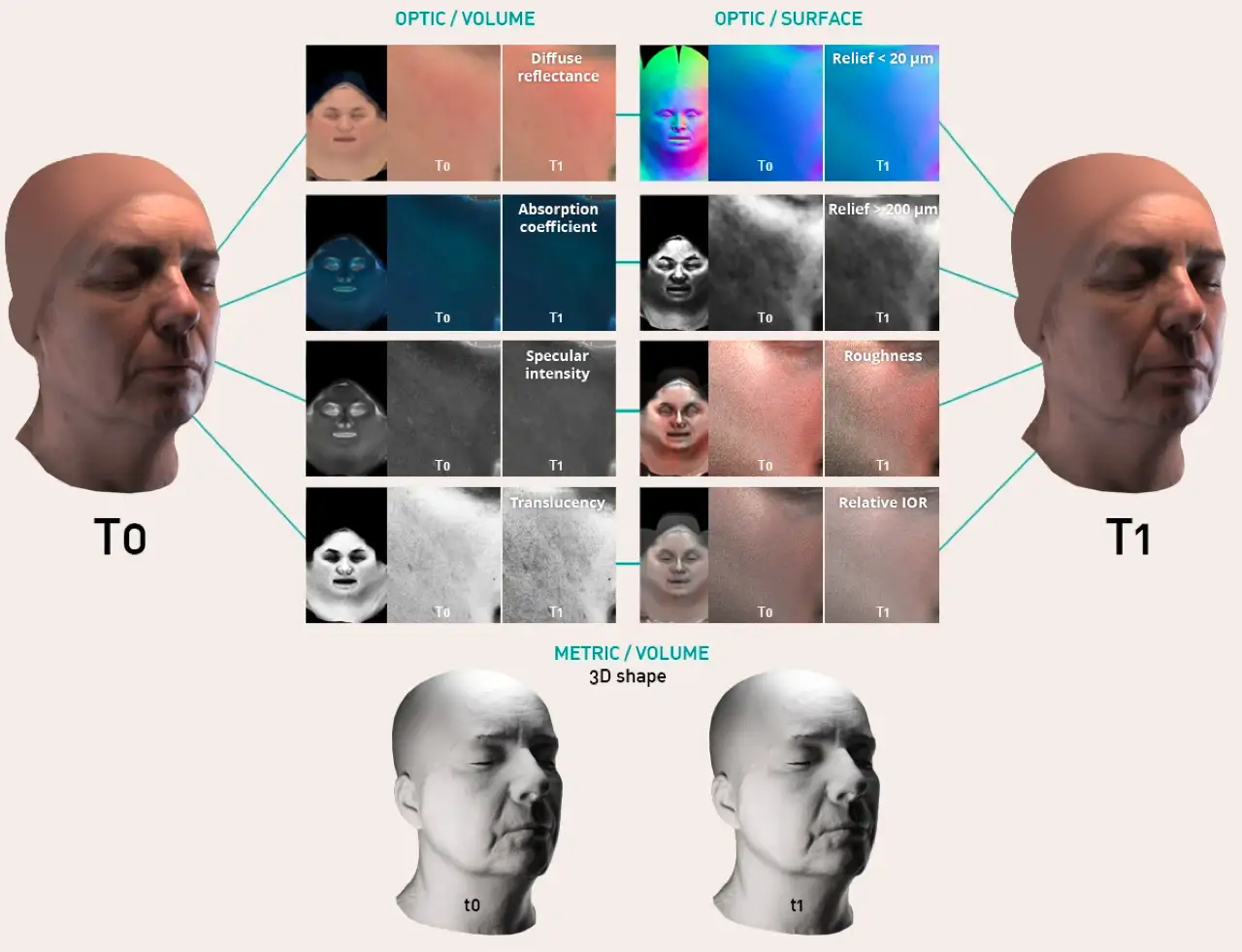 2 faces comparing product efficacy over time points